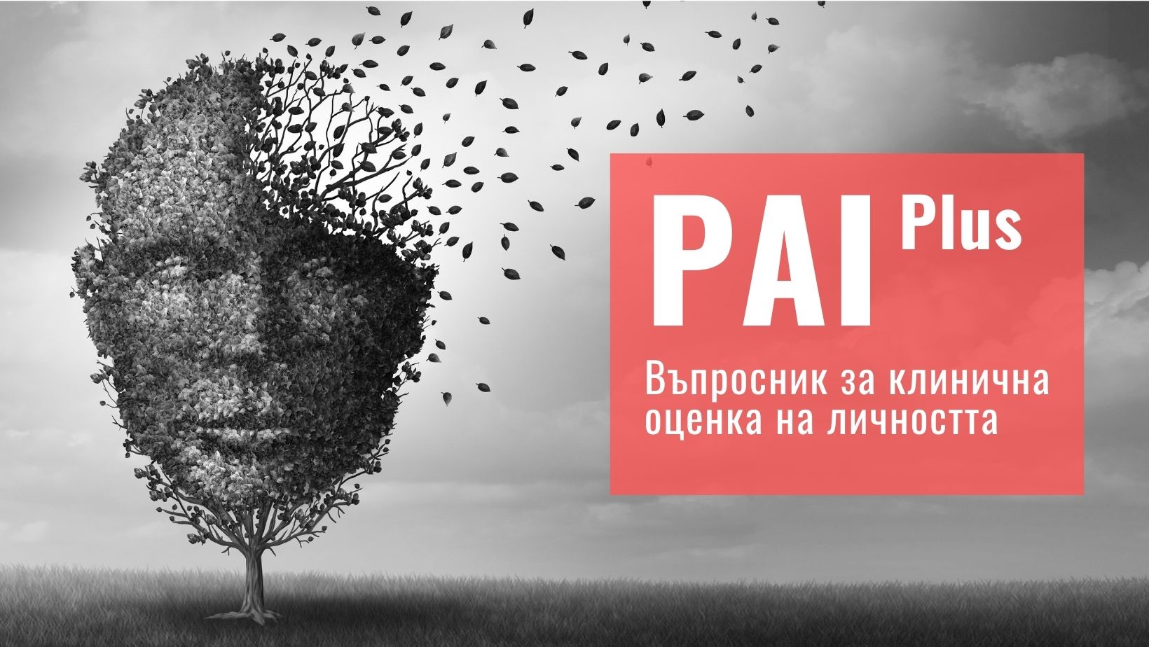 Сертификационно обучение за работа с PAI Plus въпросник за клинична оценка на личността