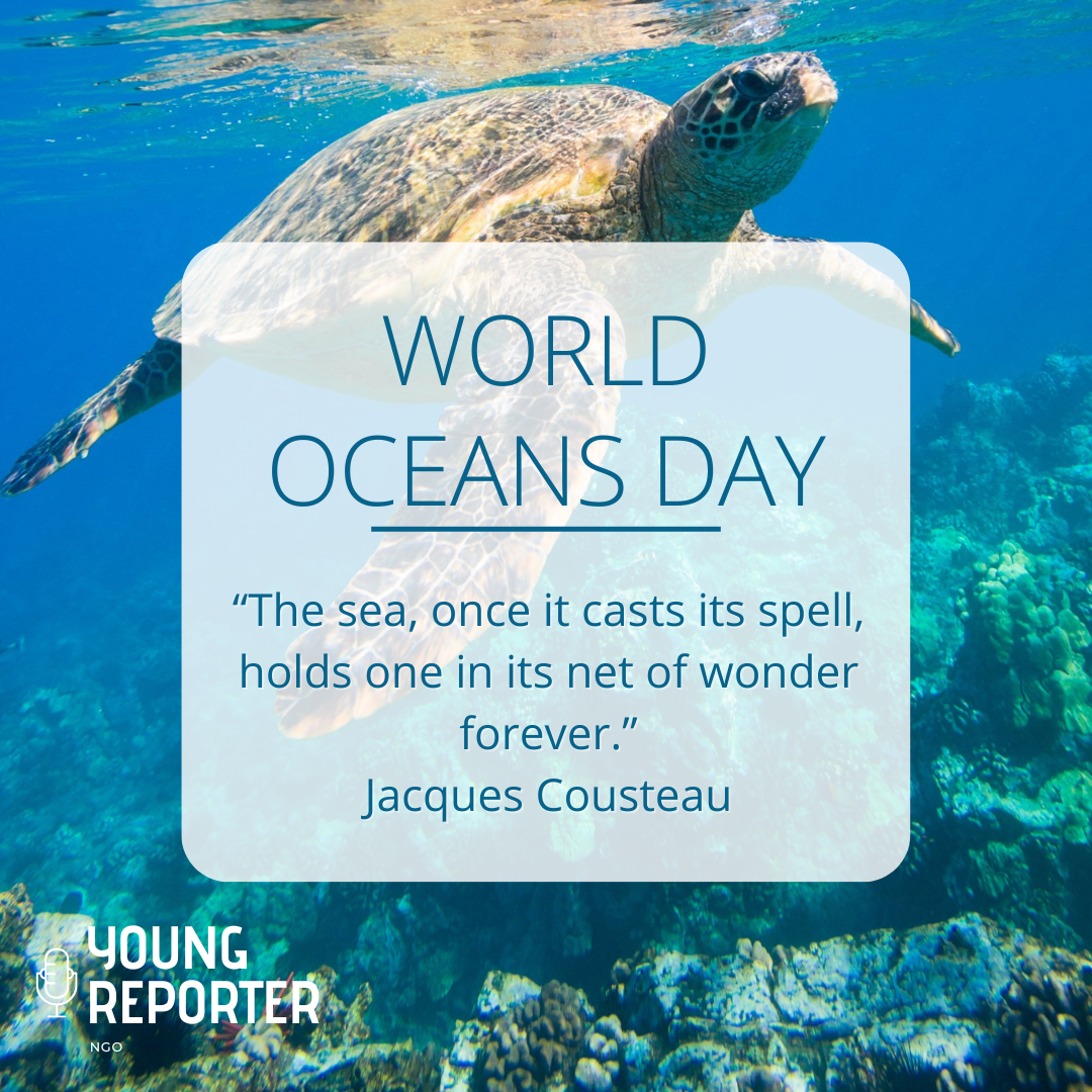 World Oceans Day