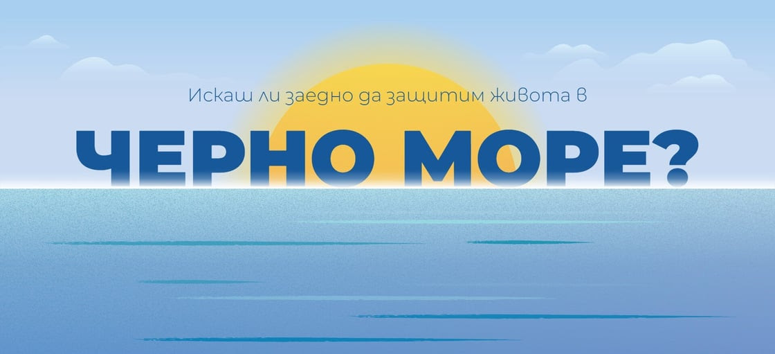 Да запазим Черно море живо, призовават от „Грийнпийс“ – България